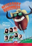 Necessary Roughness Image-large
