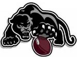 Panthers Image-large